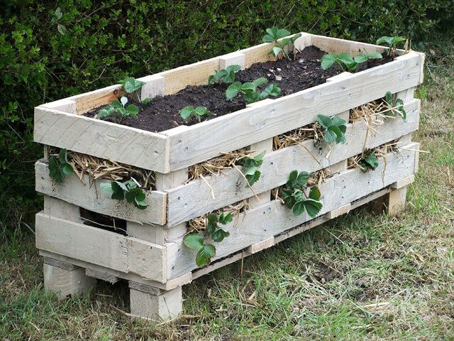 BIG WOODEN PALLET PLANTER 